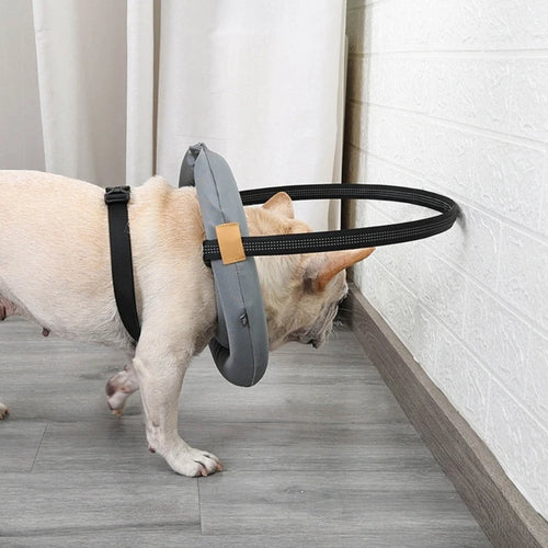 Blind Dog Safety Harness with Awareness Rings