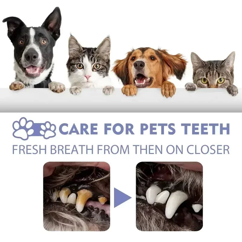 Pet Teeth Whitening & Breath Spray