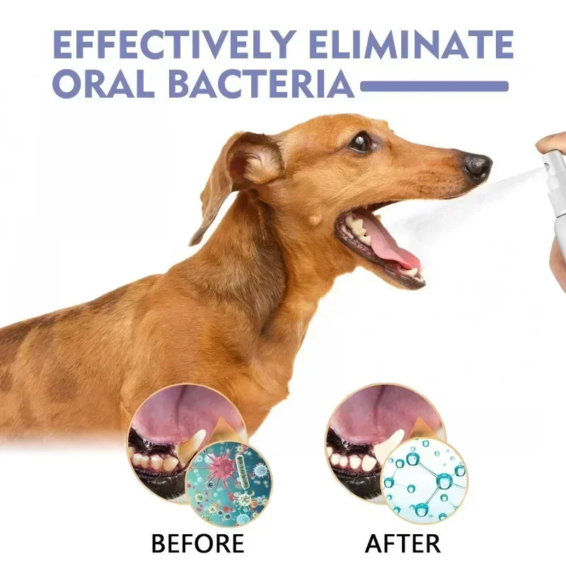 Pet Teeth Whitening & Breath Spray