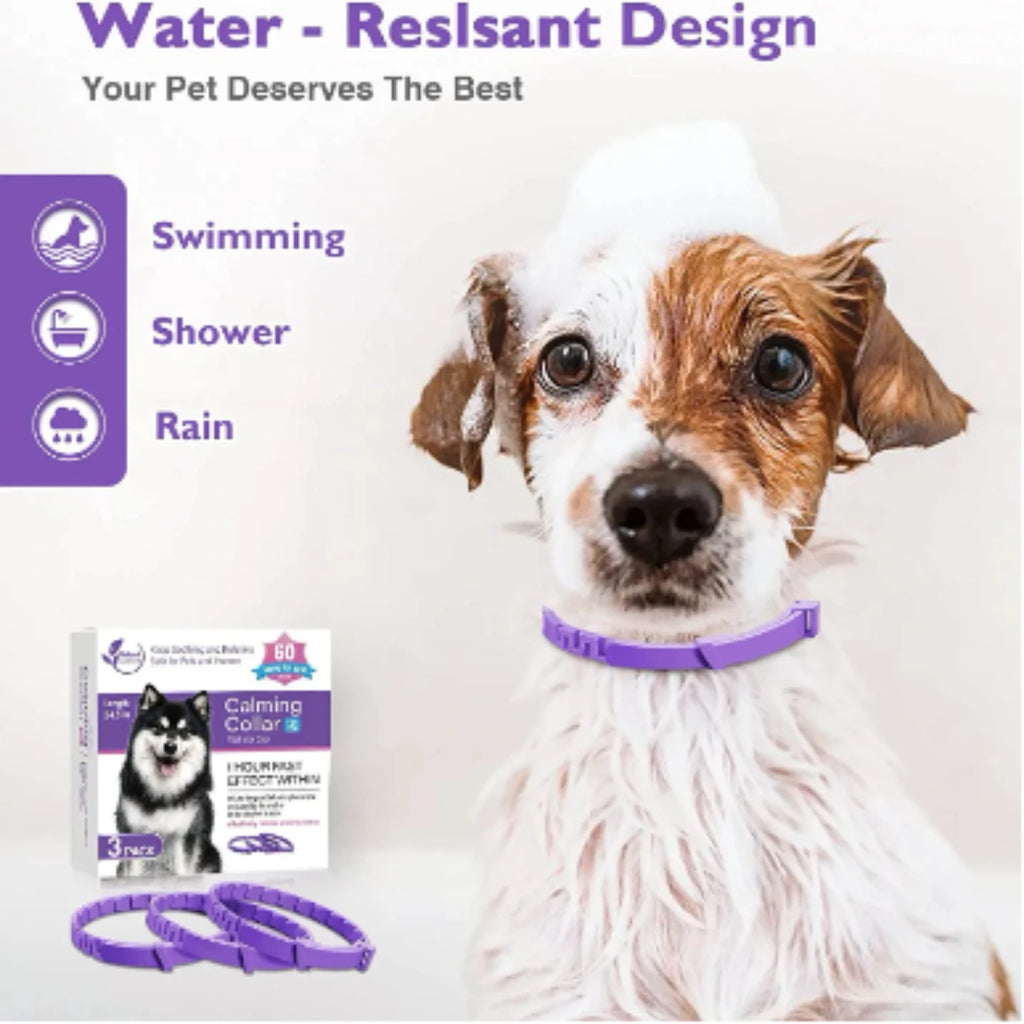 Pet Calming Pheromone Collar