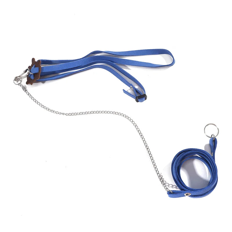 Small Pet Traction Rope & Training Belt