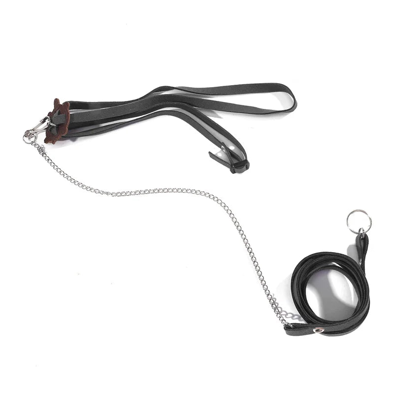 Small Pet Traction Rope & Training Belt