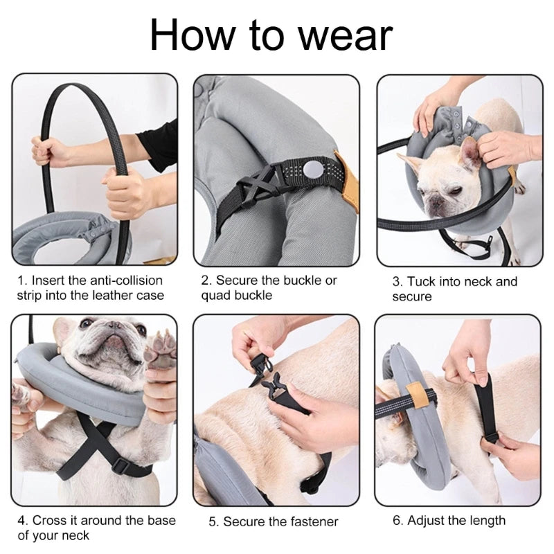 Blind Dog Safety Harness with Awareness Rings