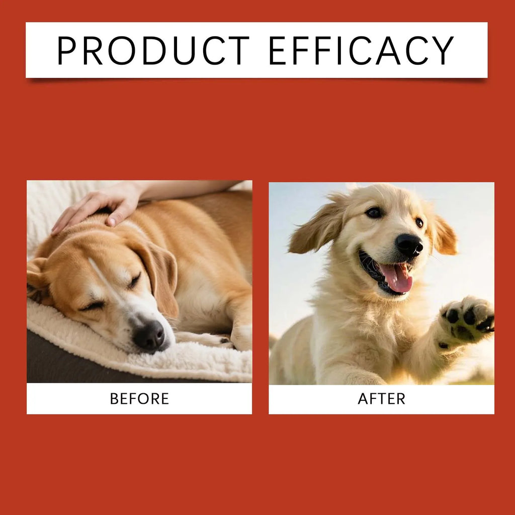 Dog Probiotic Digestive Supplement