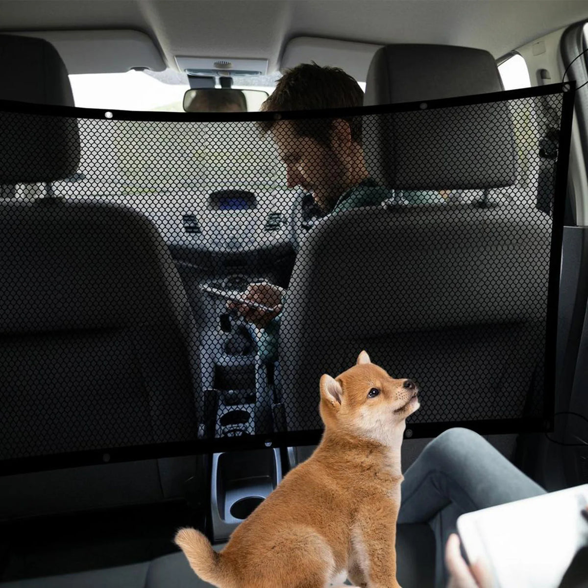 Vehicle Safety Net Divider for Dog Travel