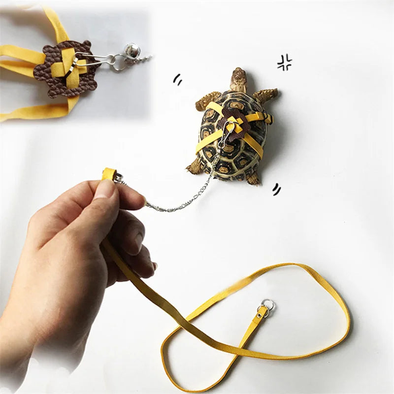 Small Pet Traction Rope & Training Belt