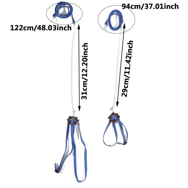 Small Pet Traction Rope & Training Belt