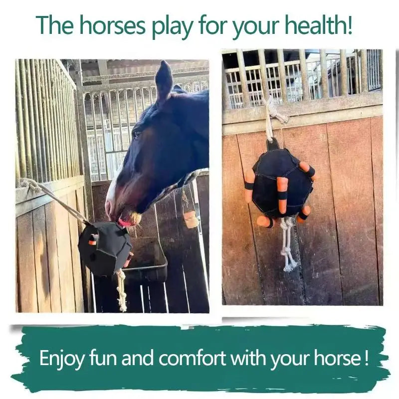 Horse Training Enrichment Hay Ball Feeder Toy for Stalls Chew Resistant Stable Entertainment