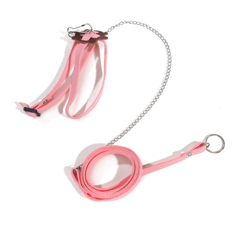 Small Pet Traction Rope & Training Belt