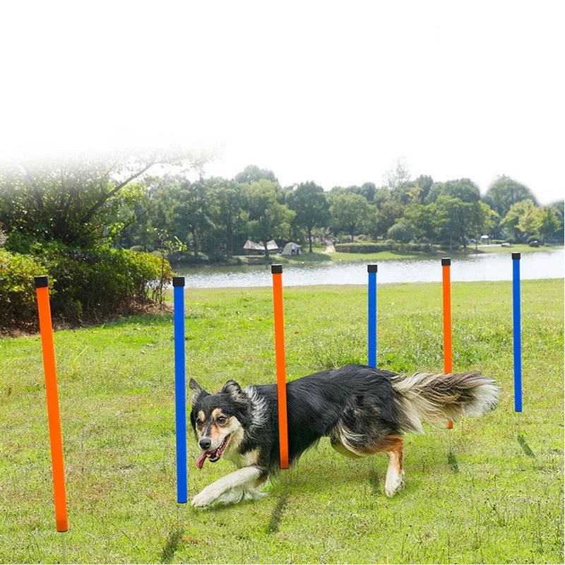 Dog Agility Training Equipment Portable Dog Jumping Tool Outdoor Dogs Running Stake Sports Stakes Pole Pet Agility Equipment Set