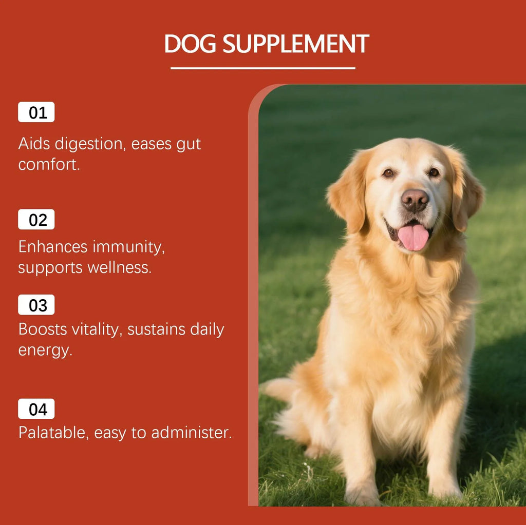 Dog Probiotic Digestive Supplement