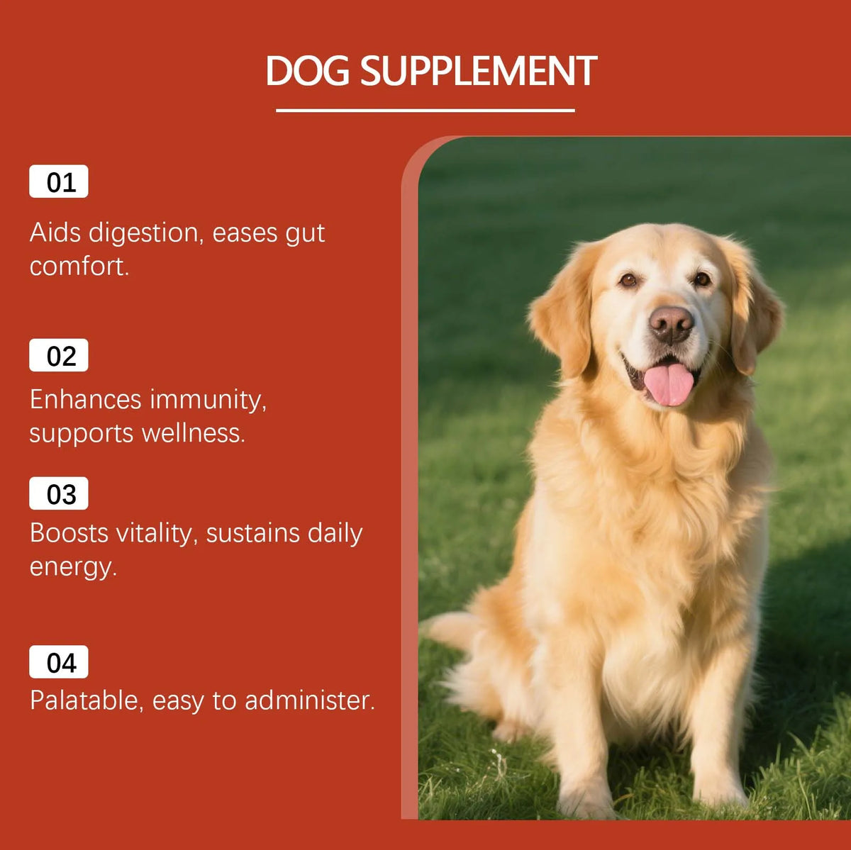 Dog Probiotic Digestive Supplement