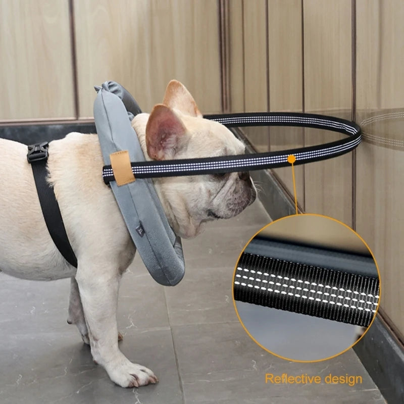 Blind Dog Safety Harness with Awareness Rings