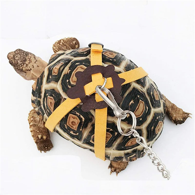 Small Pet Traction Rope & Training Belt