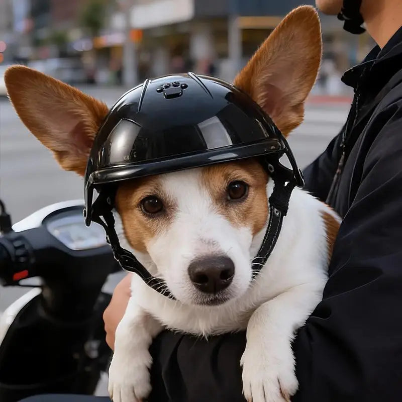 Pet Motorcycle Safety Helmet
