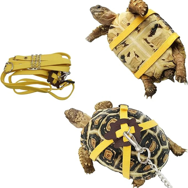 Small Pet Traction Rope & Training Belt