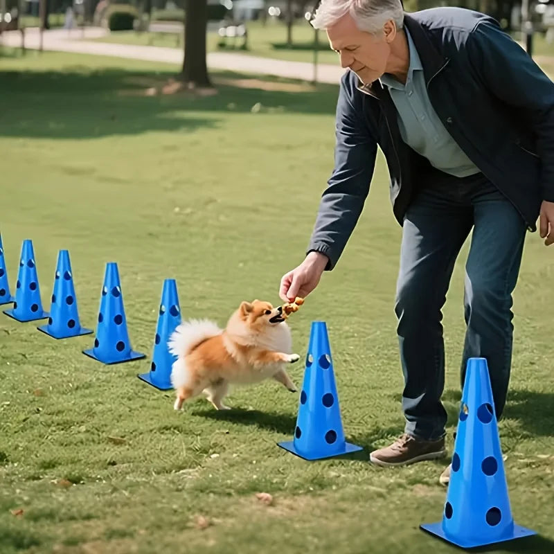Dog agility training equipment set with perforated roadblock bucket and hurdle stand