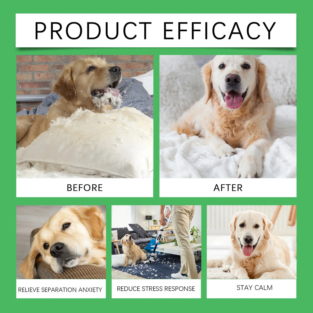 Dog Emotion Diffuser Set for Anxiety Relief Home Environment Stress Care Kit to Effectively Reduce Dogs' Pressure