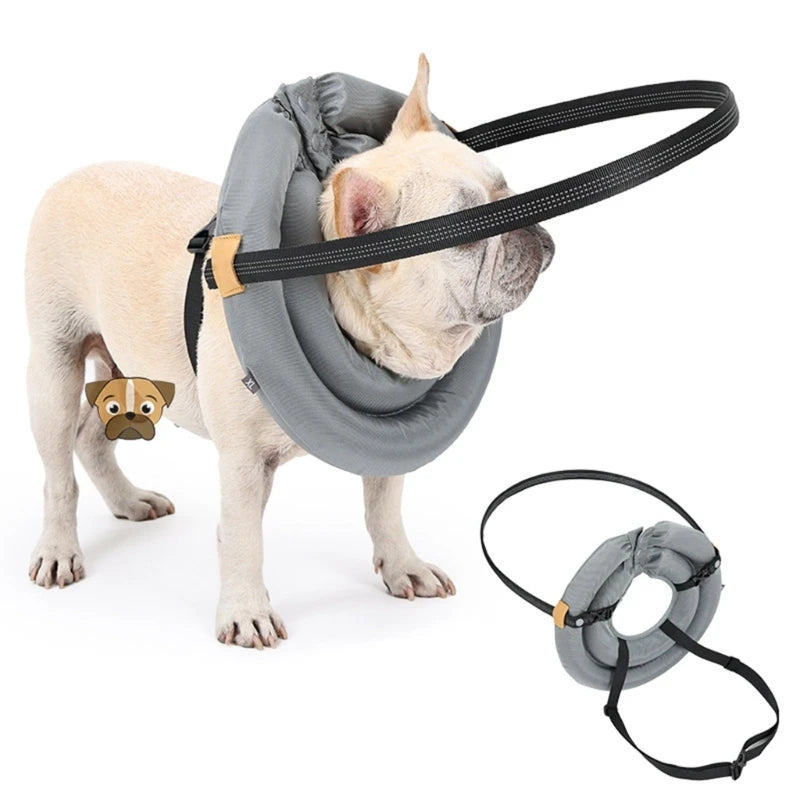 Blind Dog Safety Harness with Awareness Rings