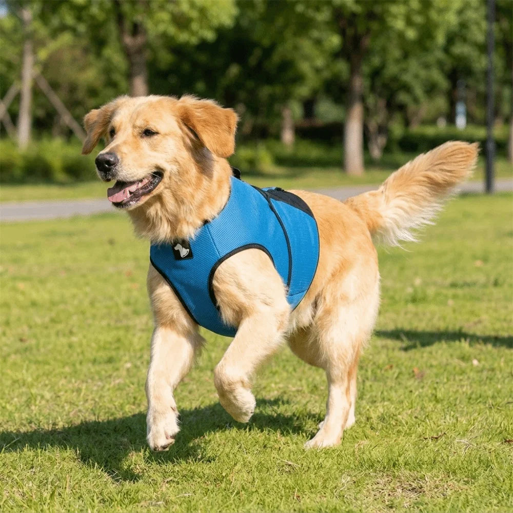 Adjustable Dog Calming Vest