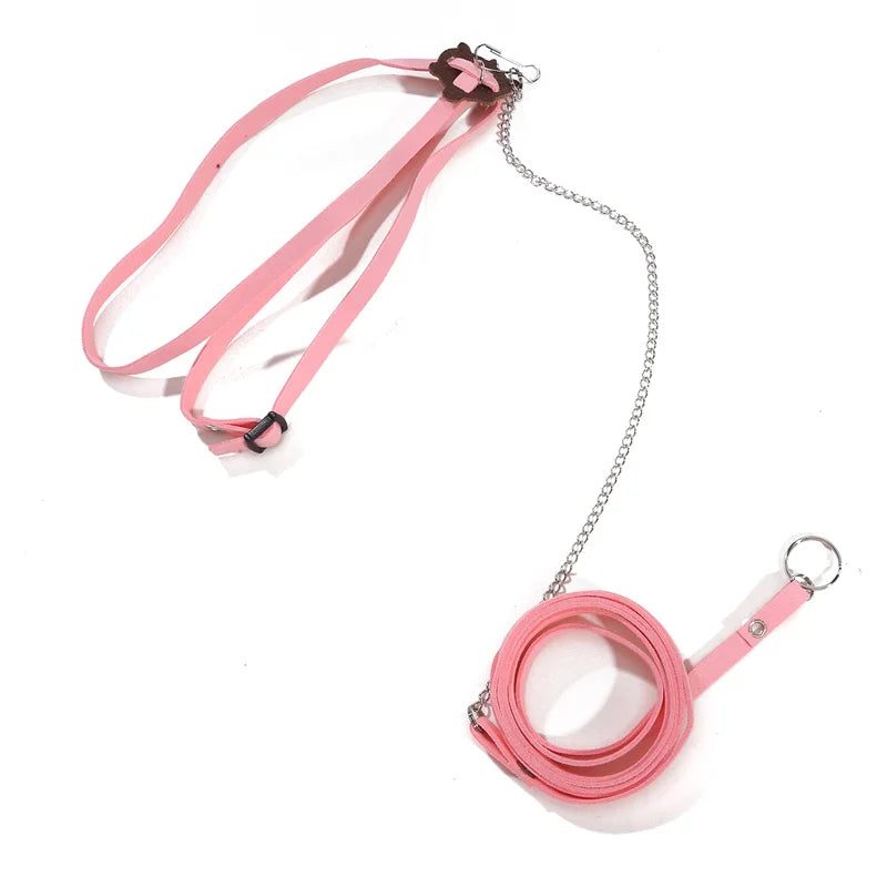 Small Pet Traction Rope & Training Belt