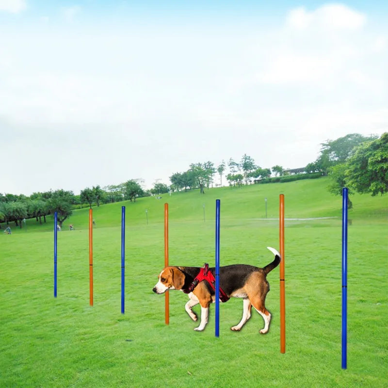 Dog Agility Training Equipment Portable Dog Jumping Tool Outdoor Dogs Running Stake Sports Stakes Pole Pet Agility Equipment Set
