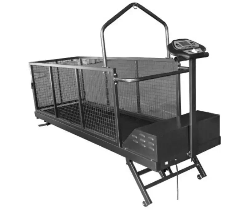 High Speed Dog 110KG Treadmill Walking Machine Training Exercise Pet Rehabilitation Pet Treadmill for Dogs MSL-C400