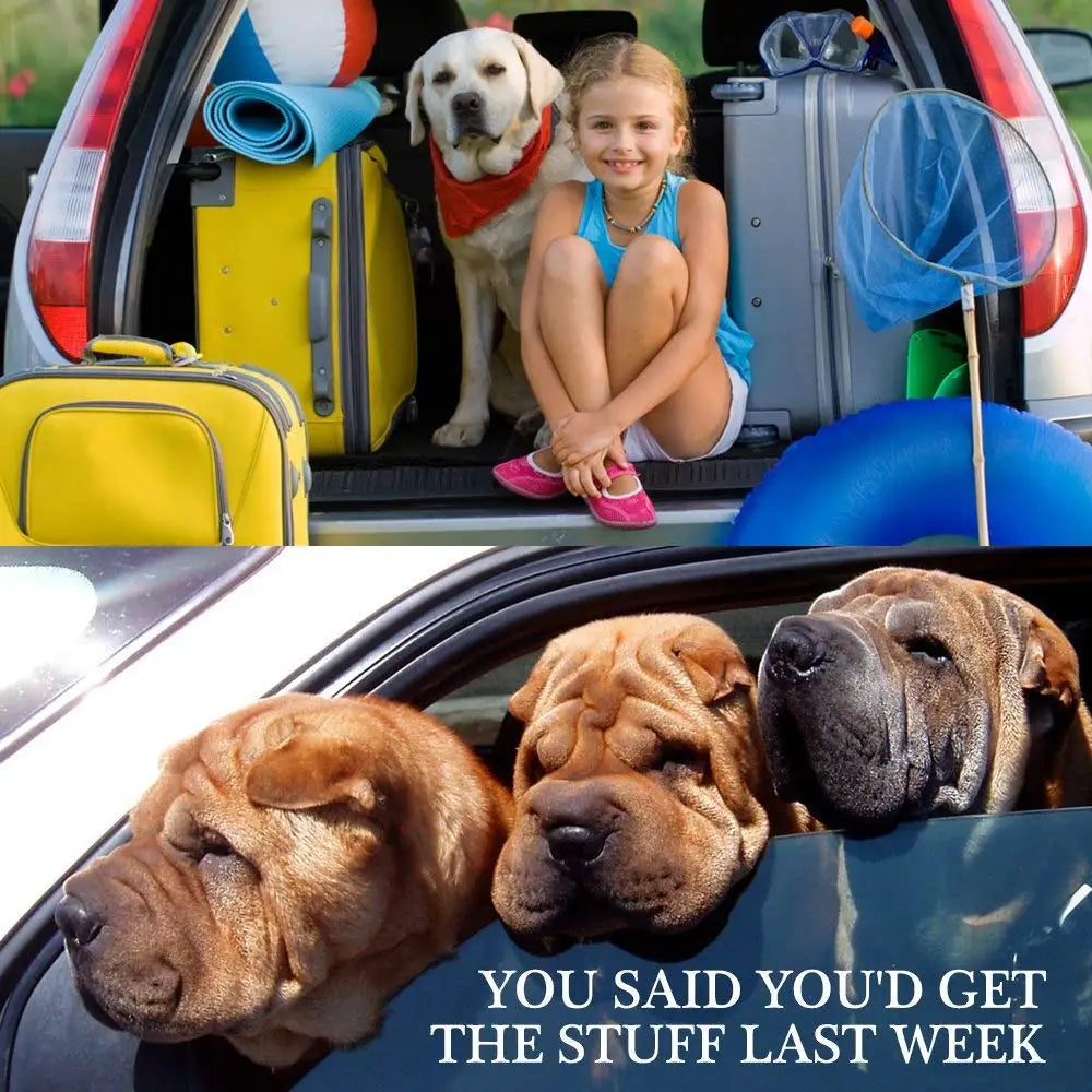 Heavy-Duty Pet Car Safety Belt