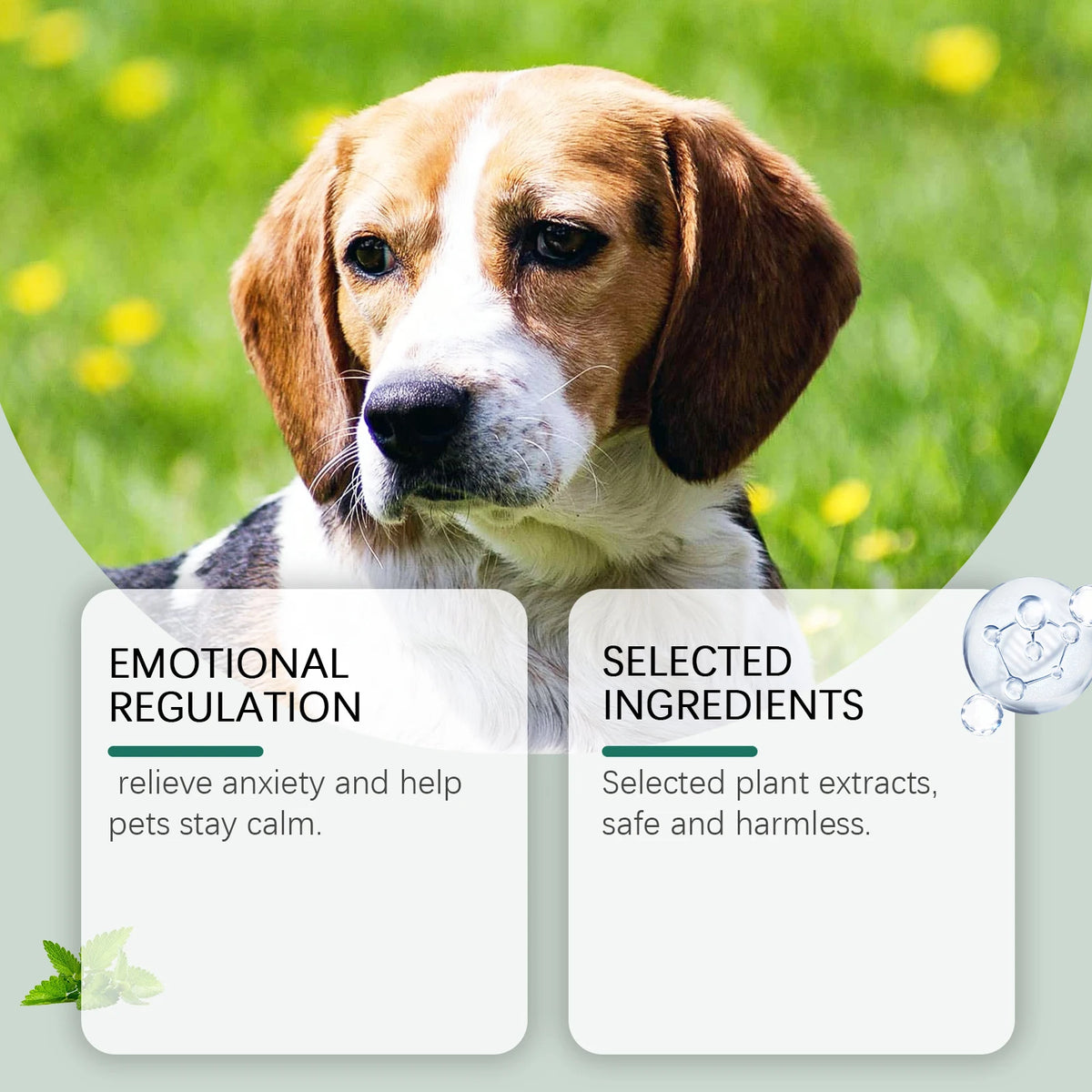 Pet Anxiety-Relief Soothing Drops